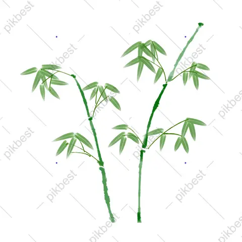 Hình Ảnh Cho Hình Vẽ Cây Tre Trang Trí: