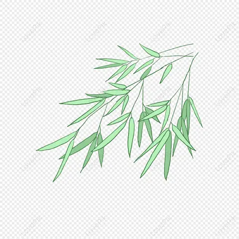 Hình Ảnh Cho Hình Vẽ Cây Tre Trang Trí: