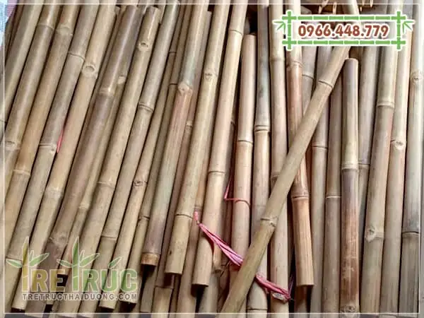 Hình Ảnh Cho Hình Vẽ Cây Tre Trang Trí: