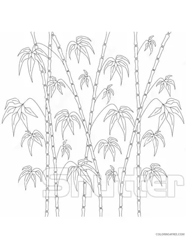 Hình Ảnh Cho Hình Vẽ Cây Tre Trang Trí: