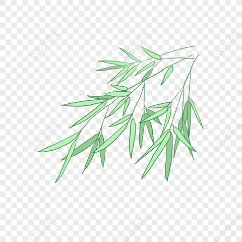 Hình Ảnh Cho Hình Vẽ Cây Tre Trang Trí: