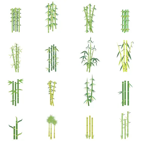 Hình Ảnh Cho Hình Vẽ Cây Tre Trang Trí: