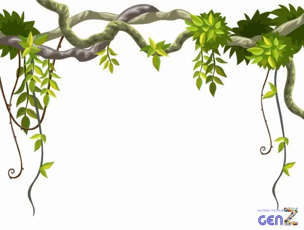 Hình Ảnh Cho Vẽ Hoa Dây Trang Trí: