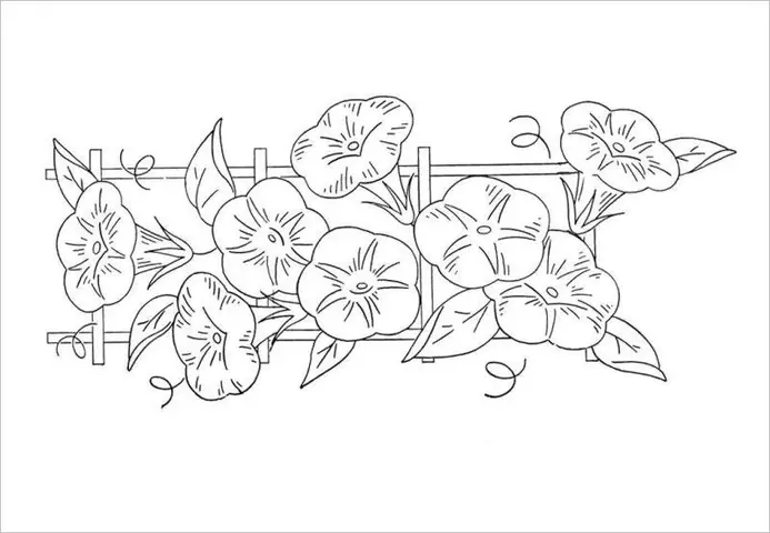 Hình Ảnh Cho Vẽ Hoa Dây Trang Trí: