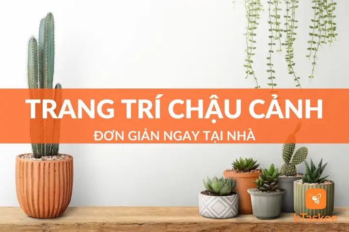 Top 10+ Cách Trang Trí Chậu Cảnh Đơn Giản Ngay Tại Nhà ...