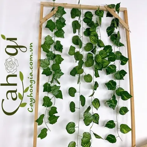 Bó Dây Leo Giả Trang Trí Các Mẫu Lá To 10m – Cahogi