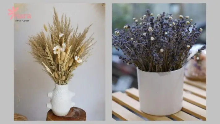 999+ Mẫu Hoa Khô Trang Trí, Nguyên Liệu Hoa Khô - Hoa Khô Hara