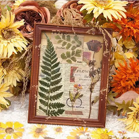 Sticker Trong Suốt Hoạ Tiết Lá Khô Trang Trí Khung Ảnh Bàn Làm Việc