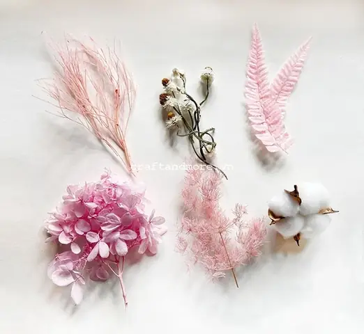Hoa Khô Làm Handmade Đẹp Vintage Trang Trí Thiệp, Sổ, Scrapbook ...