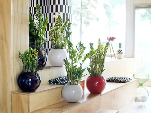 Gợi Ý 10 Kiểu Trang Trí Tường Nhà Đẹp Đón Tết Ất Tỵ 2025