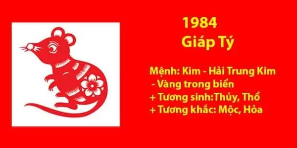 Hướng Nhà Tuổi Giáp Tý Nam