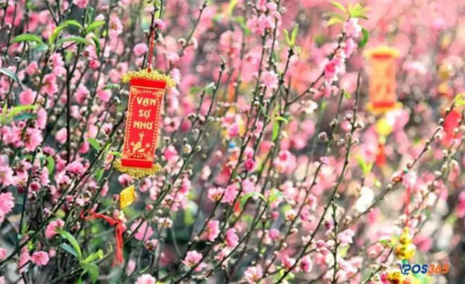 Kinh Doanh Đồ Trang Trí Cây Tết