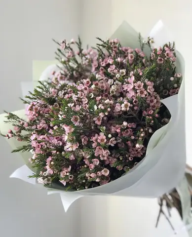 Lọ Hoa Thanh Liễu Đẹp Dùng Để Cắm Hoa Nào Phù Hợp?