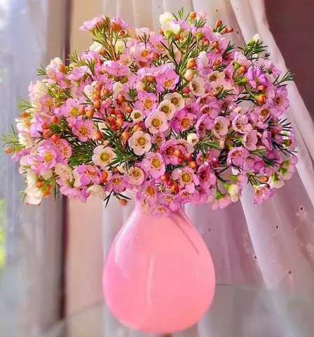 Lọ Hoa Thanh Liễu Đẹp Dùng Để Cắm Hoa Nào Phù Hợp?