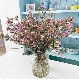 Lọ Hoa Thanh Liễu Đẹp Dùng Để Cắm Hoa Nào Phù Hợp?