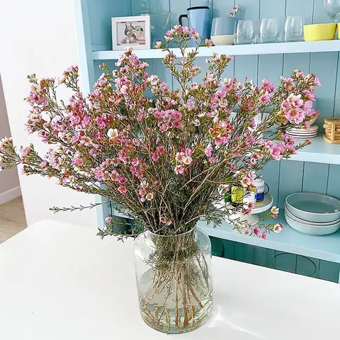 Lọ Hoa Thanh Liễu Đẹp Dùng Để Cắm Hoa Nào Phù Hợp?