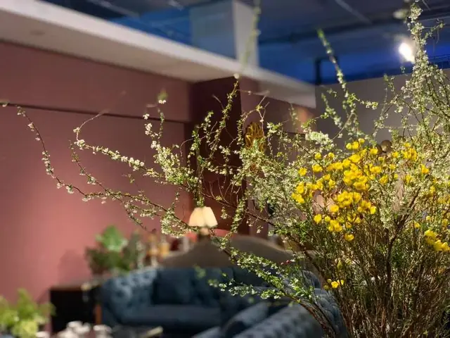 Lọ Hoa Thanh Liễu Đẹp Dùng Để Cắm Hoa Nào Phù Hợp?