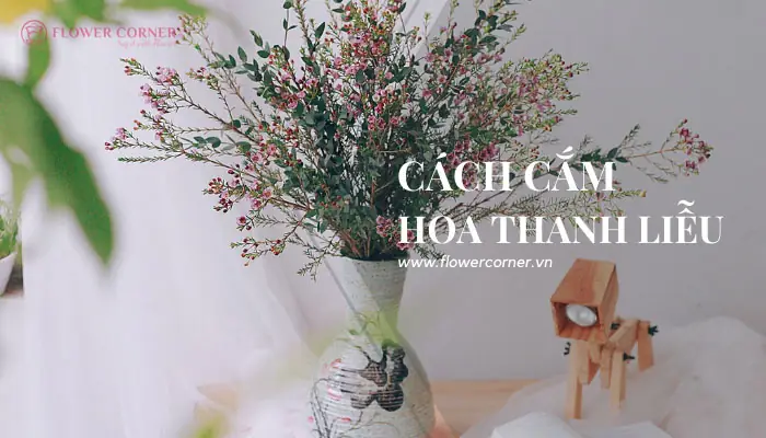 Lọ Hoa Thanh Liễu Đẹp Dùng Để Cắm Hoa Nào Phù Hợp?