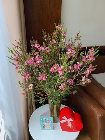 Lọ Hoa Thanh Liễu Đẹp Dùng Để Cắm Hoa Nào Phù Hợp?