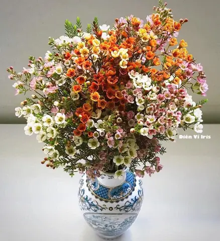 Lọ Hoa Thanh Liễu Đẹp Dùng Để Cắm Hoa Nào Phù Hợp?