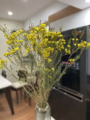 Lọ Hoa Thanh Liễu Đẹp Dùng Để Cắm Hoa Nào Phù Hợp?