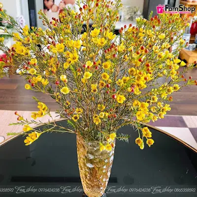 Lọ Hoa Thanh Liễu Đẹp Dùng Để Cắm Hoa Nào Phù Hợp?