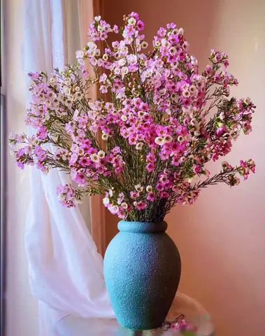 Lọ Hoa Thanh Liễu Đẹp Dùng Để Cắm Hoa Nào Phù Hợp?