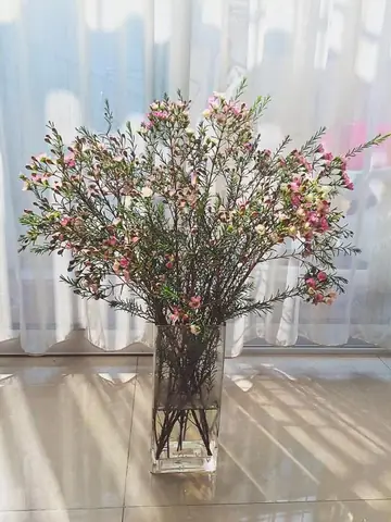 Lọ Hoa Thanh Liễu Đẹp Dùng Để Cắm Hoa Nào Phù Hợp?