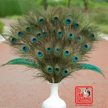 Lông Công Trang Trí Bàn Thờ Có Ý Nghĩa Gì Trong Phong Thủy? Lông Công Trang Trí Bàn Thờ Có Ý Nghĩa Gì Trong Phong Thủy?