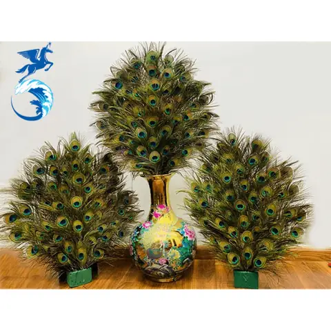 Lông Công Trang Trí Bàn Thờ Có Ý Nghĩa Gì Trong Phong Thủy? Lông Công Trang Trí Bàn Thờ Có Ý Nghĩa Gì Trong Phong Thủy?