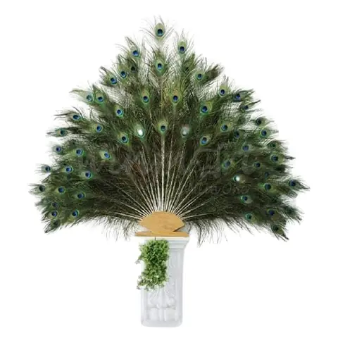 Lông Công Trang Trí Bàn Thờ Có Ý Nghĩa Gì Trong Phong Thủy? Lông Công Trang Trí Bàn Thờ Có Ý Nghĩa Gì Trong Phong Thủy?