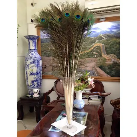 Lông Công Trang Trí Bàn Thờ Có Ý Nghĩa Gì Trong Phong Thủy? Lông Công Trang Trí Bàn Thờ Có Ý Nghĩa Gì Trong Phong Thủy?