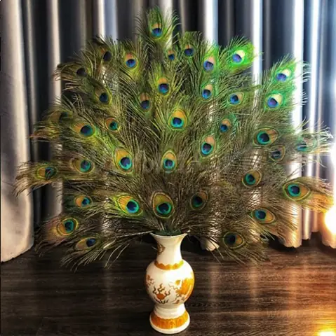 Lông Công Trang Trí Bàn Thờ Có Ý Nghĩa Gì Trong Phong Thủy? Lông Công Trang Trí Bàn Thờ Có Ý Nghĩa Gì Trong Phong Thủy?