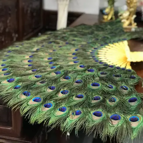 Lông Công Trang Trí Bàn Thờ Có Ý Nghĩa Gì Trong Phong Thủy? Lông Công Trang Trí Bàn Thờ Có Ý Nghĩa Gì Trong Phong Thủy?