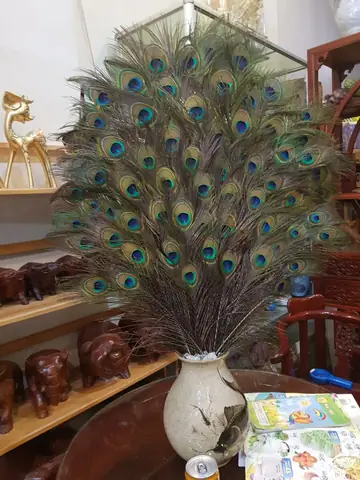 Lông Công Trang Trí Bàn Thờ Có Ý Nghĩa Gì Trong Phong Thủy? Lông Công Trang Trí Bàn Thờ Có Ý Nghĩa Gì Trong Phong Thủy?