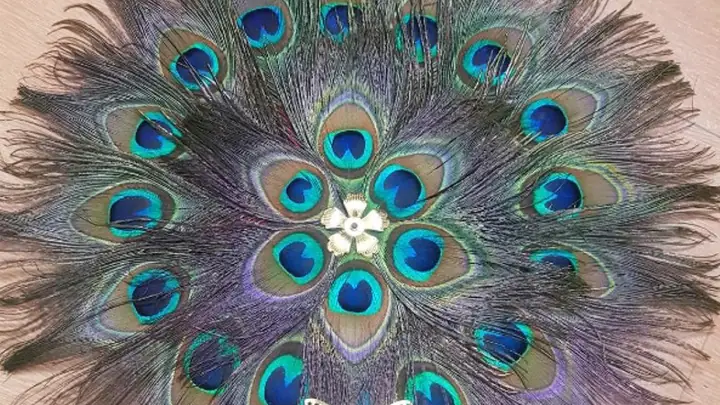 Lông Công Trang Trí Bàn Thờ Có Ý Nghĩa Gì Trong Phong Thủy?