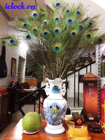 Lông Công Trang Trí Bàn Thờ Có Ý Nghĩa Gì Trong Phong Thủy? Lông Công Trang Trí Bàn Thờ Có Ý Nghĩa Gì Trong Phong Thủy?