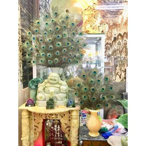 Lông Công Trang Trí Bàn Thờ Có Ý Nghĩa Gì Trong Phong Thủy? Lông Công Trang Trí Bàn Thờ Có Ý Nghĩa Gì Trong Phong Thủy?