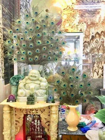 Lông Công Trang Trí Bàn Thờ Có Ý Nghĩa Gì Trong Phong Thủy? Lông Công Trang Trí Bàn Thờ Có Ý Nghĩa Gì Trong Phong Thủy?