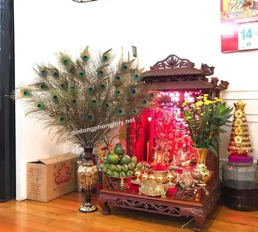 Lông Công Trang Trí Bàn Thờ Có Ý Nghĩa Gì Trong Phong Thủy? Lông Công Trang Trí Bàn Thờ Có Ý Nghĩa Gì Trong Phong Thủy?