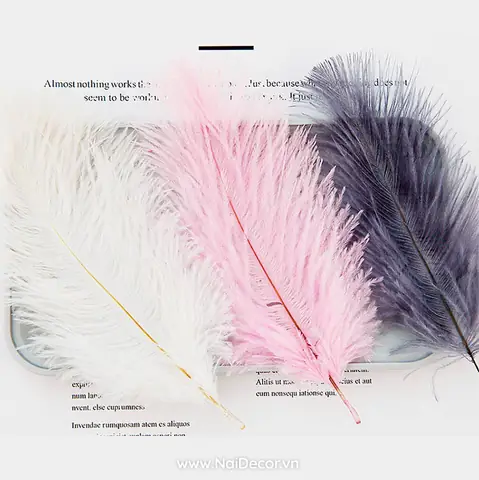 Lông Đà Điểu Dùng Trang Trí Chụp Ảnh Siêu Đẹp - Nai Decor