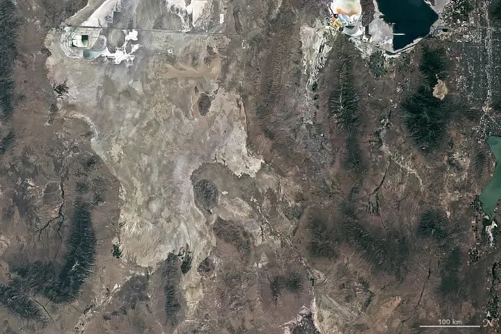 Cách Tạo Họa Tiết Trang Trí Trong Mĩ Thuật Lớp 7 Bài 3 Là Gì? Cách Tạo Họa Tiết Trang Trí Trong Mĩ Thuật Lớp 7 Bài 3 Là Gì?