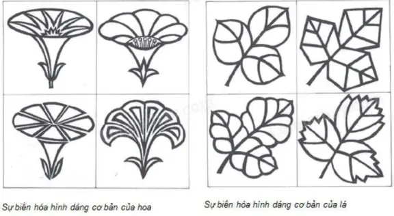 Cách Tạo Họa Tiết Trang Trí Trong Mĩ Thuật Lớp 7 Bài 3 Là Gì? Cách Tạo Họa Tiết Trang Trí Trong Mĩ Thuật Lớp 7 Bài 3 Là Gì?