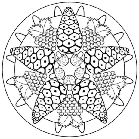 Cách Tạo Họa Tiết Trang Trí Trong Mĩ Thuật Lớp 7 Bài 3 Là Gì? Cách Tạo Họa Tiết Trang Trí Trong Mĩ Thuật Lớp 7 Bài 3 Là Gì?