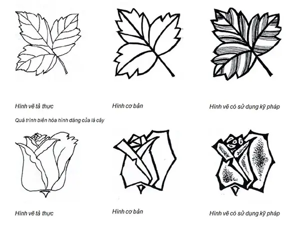 Cách Tạo Họa Tiết Trang Trí Trong Mĩ Thuật Lớp 7 Bài 3 Là Gì? Cách Tạo Họa Tiết Trang Trí Trong Mĩ Thuật Lớp 7 Bài 3 Là Gì?