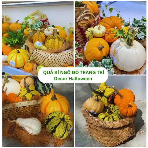 Quả Bí Ngô Đỏ Trang Trí Decor Halloween