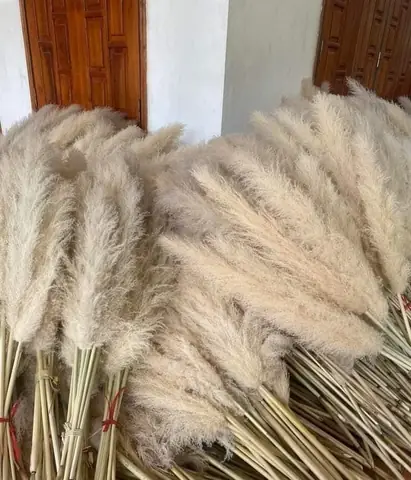 Thegioiphukientrangtri