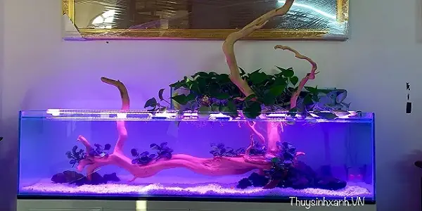 Phụ Kiện Trang Trí Hồ Cá, Hồ Thủy Sinh Nhiều Mẫu. - Shop Thủy Sinh ... Phụ Kiện Trang Trí Hồ Cá, Hồ Thủy Sinh Nhiều Mẫu. - Shop Thủy Sinh ...
