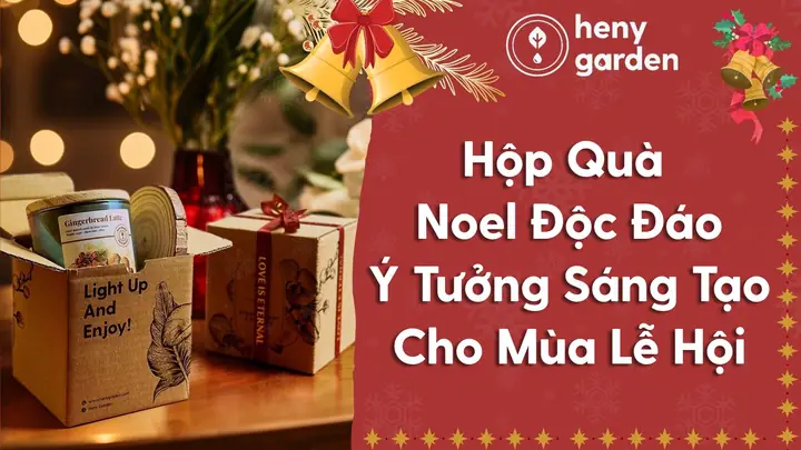 Hộp Quà Noel Độc Đáo: Ý Tưởng Siêu Đáng Yêu Cho Mùa Lễ Hội