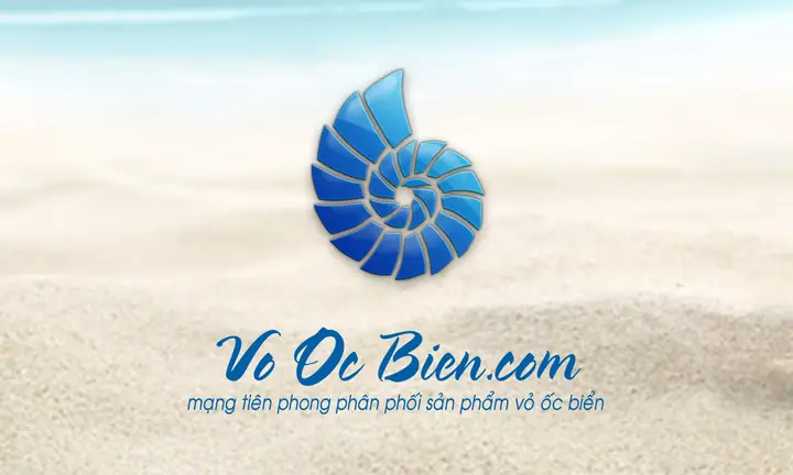 Vỏ Ốc Trang Trí - Vỏ Ốc Biển
